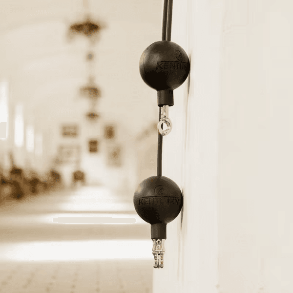 KENTUCKY LEAD & WALL PROTECTION RUBBER BALL