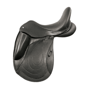 Hovedbilde COLBERT CALLY DRESSURSAL